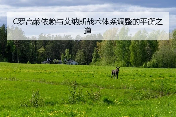 C罗高龄依赖与艾纳斯战术体系调整的平衡之道