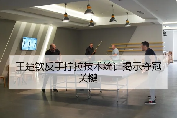 wang-chu-qin-fan-shou-ning-la-ji-shu-tong-ji-jie-shi-duo-guan-guan-jian-3-246.jpg