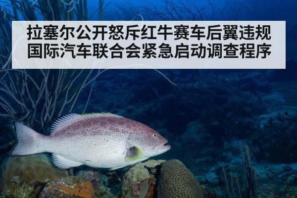 拉塞尔公开怒斥红牛赛车后翼违规 国际汽车联合会紧急启动调查程序